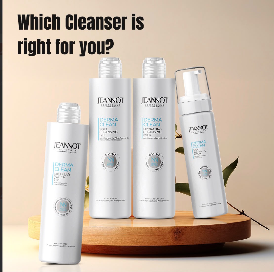 Derma Clean Cleansing Ritual